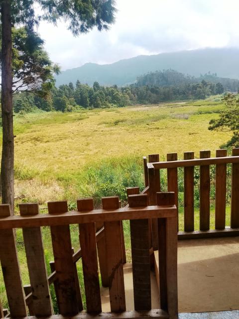 Dieng glamping syari'ah