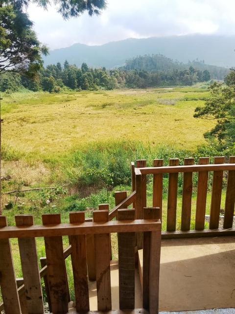 Dieng glamping syari'ah