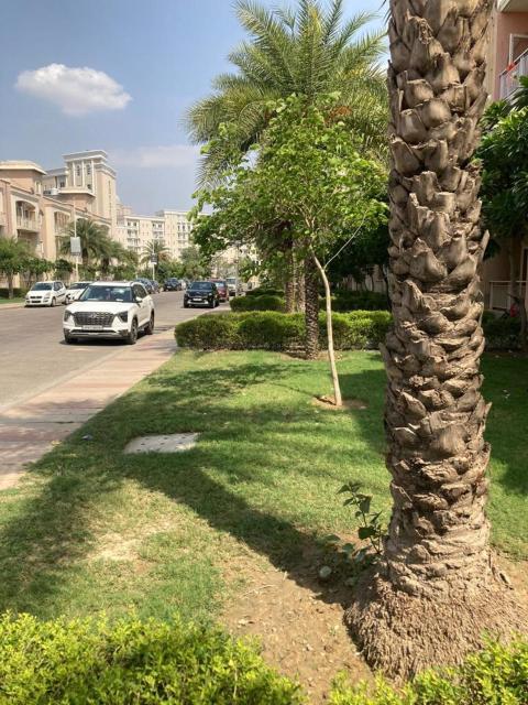 Luxurious Homestay in Brijdham