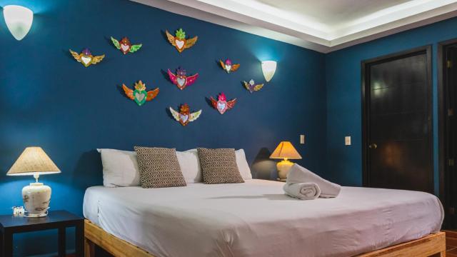 La Iguana Vallarta LGBT ADULTS ONLY - Romantic Zone - Party Clubbing Street