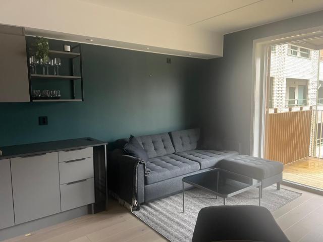 Central apartment by Oslo Central Station