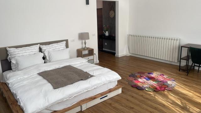 Bachner Rental Fagaras