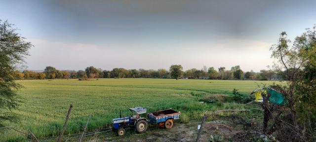 Camping at Khajuraho Permaculture Farm