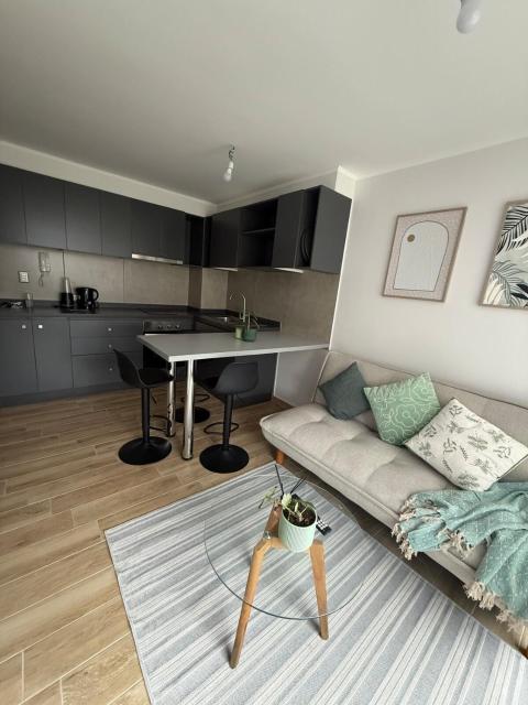 Departamento completo - Fundo el Carmen