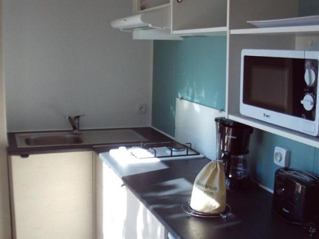Mobil-home avec Terrasse au Camping Mas Llinas - API-1-52-373