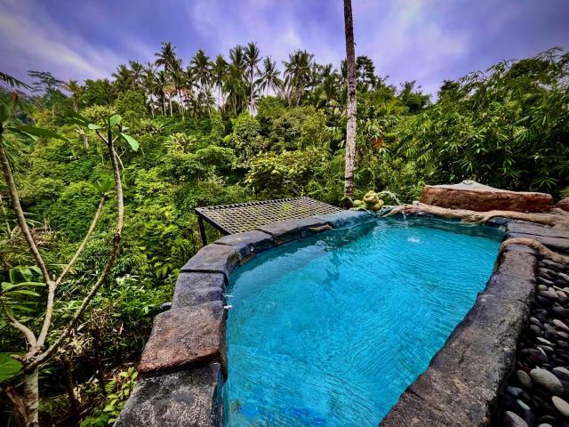 Cabin swargana real