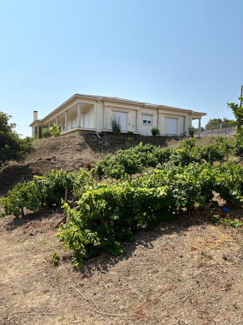 Villa Quinta Dom Reis
