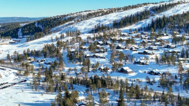 Big family cabin with ski in ski out