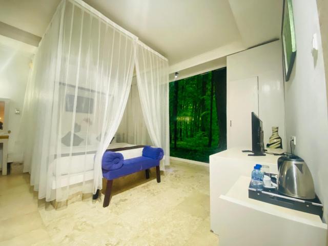 Private Pool Classic Villa