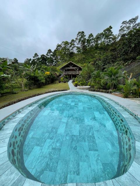 Cabin -Treehouse La Tigra
