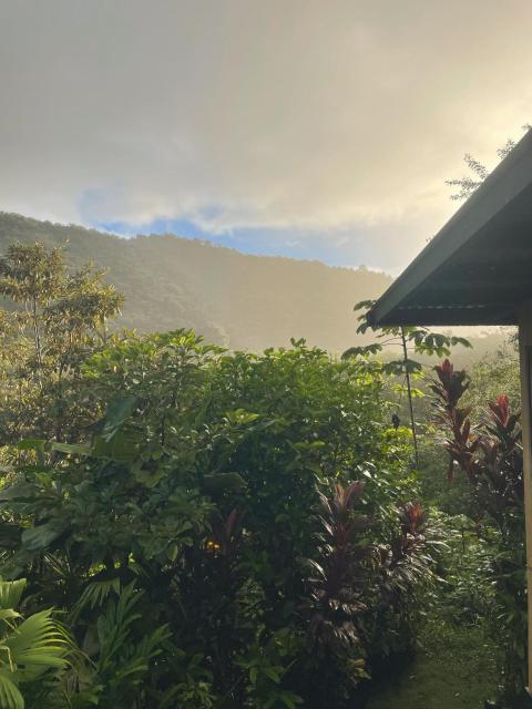 El Nido Torio