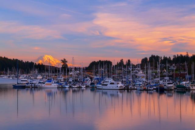 Beautiful Midtown Apartment✪ Kitsap⎜Essence