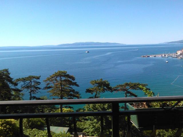 VILLA VOLOSKO with private parking and breakfast,seaview