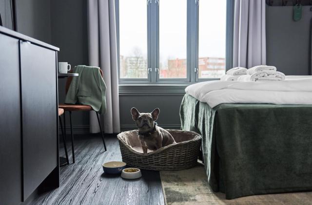 Hotel Filip