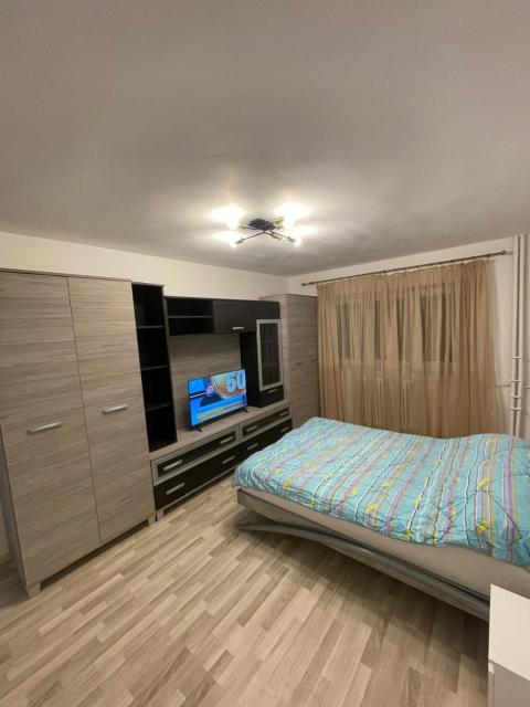 Apartament o camera Cantemir Oradea