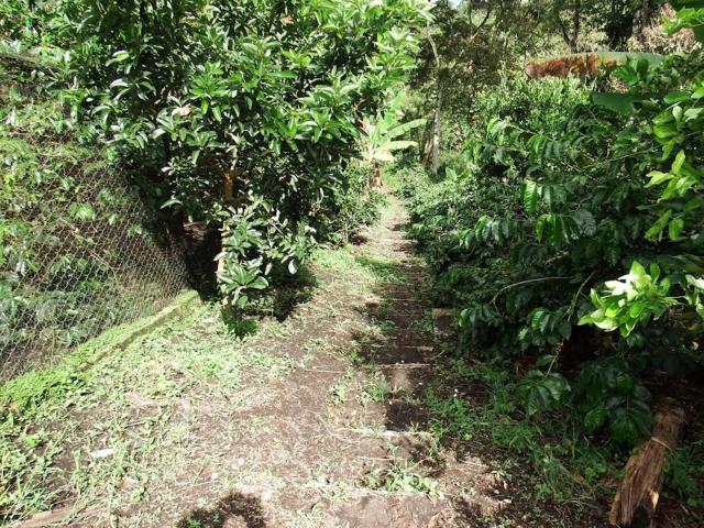Finca la Albania