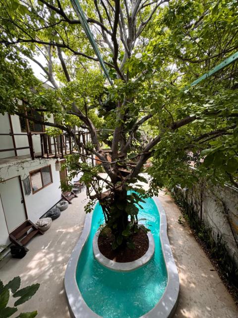 Nanabi