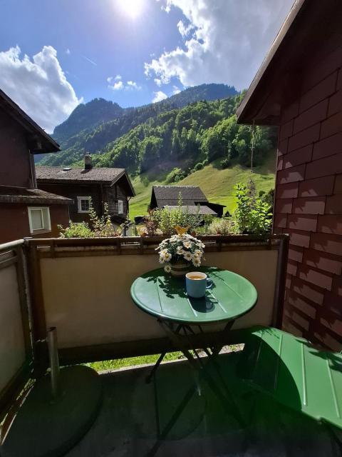 Mattishüüsli - Chalet with a little garden