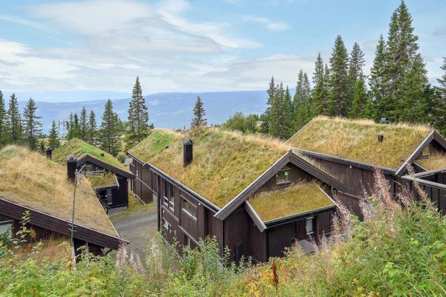 Large family cabin at Hafjell with ski in-ski out