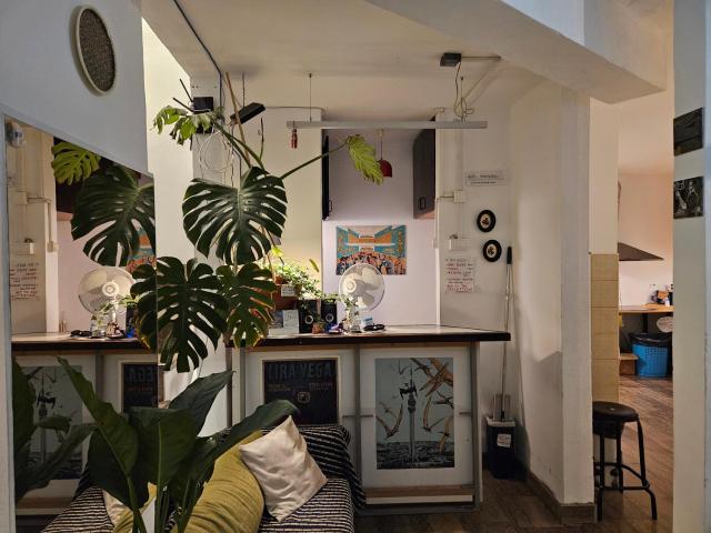 Chillton hostel