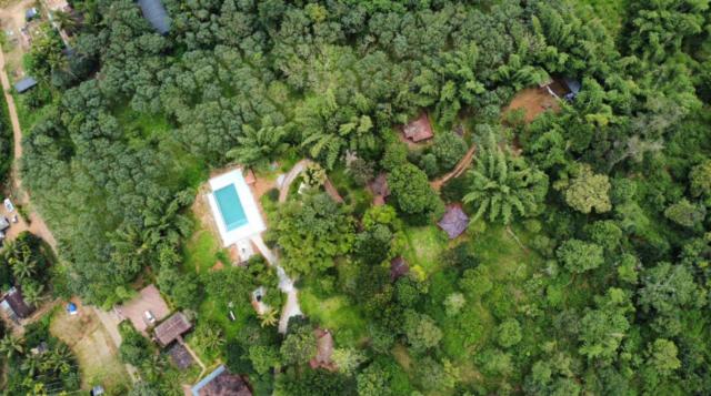 Misty Night Wayanad Pool Resort
