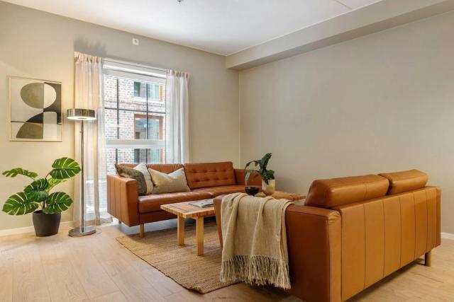 Modern downtown apartment