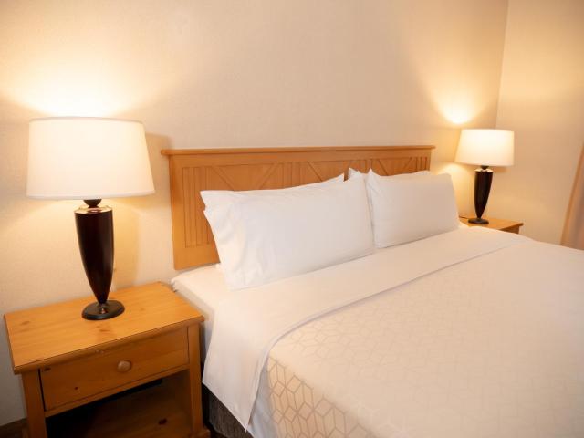 Holiday Inn Express Guanajuato by IHG
