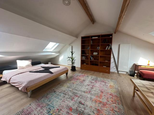 Big cosy Family Duplex near Grande Place