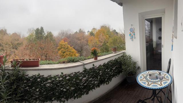 Apartament central Bella 7