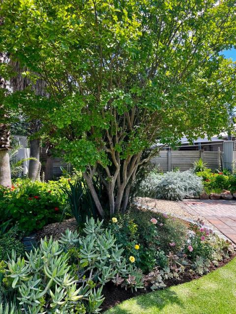 Pepper Tree Guesthouse