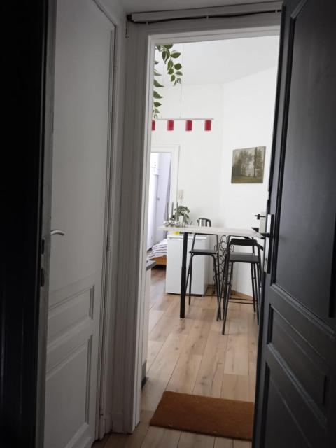 Nest in Brussels