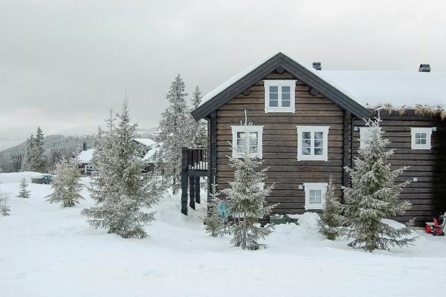 Log Cabin By Mostertoppen Ski Stadium