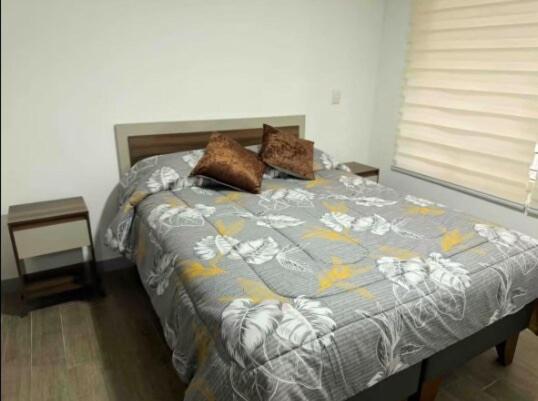 Departamento Movistar Arena