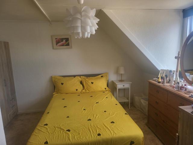 Nice Apartment