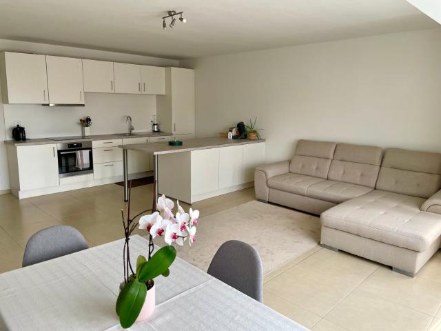 Bright & Peaceful Appartment in Koningslo