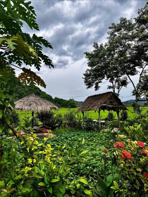 Phong Nha Rice Field Homestay