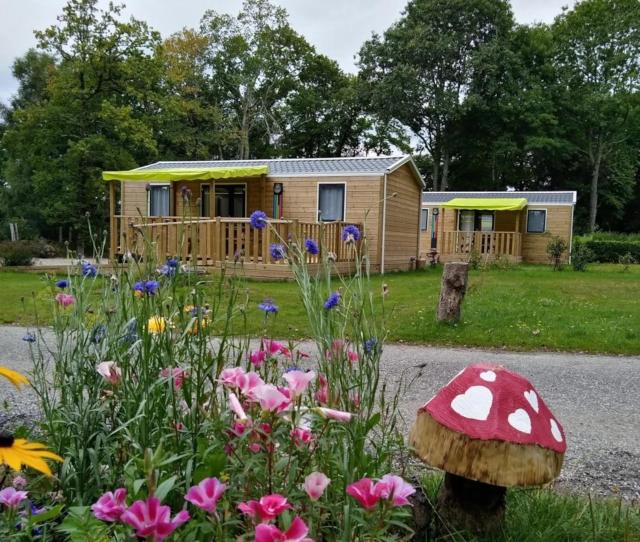 ZEcamping 3 étoiles pet friendly avec sauna bar et restaurant