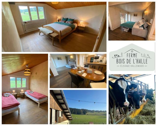 Tente Glamping dans les arbres de la Ferme du Bois de l'halle