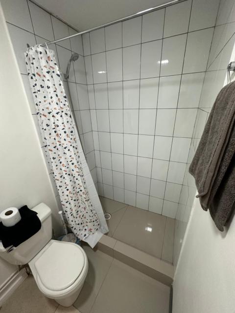 Angol Suite