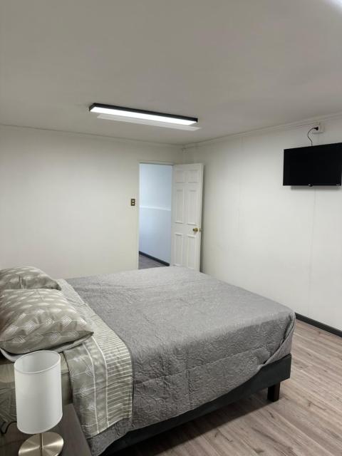 Angol Suite