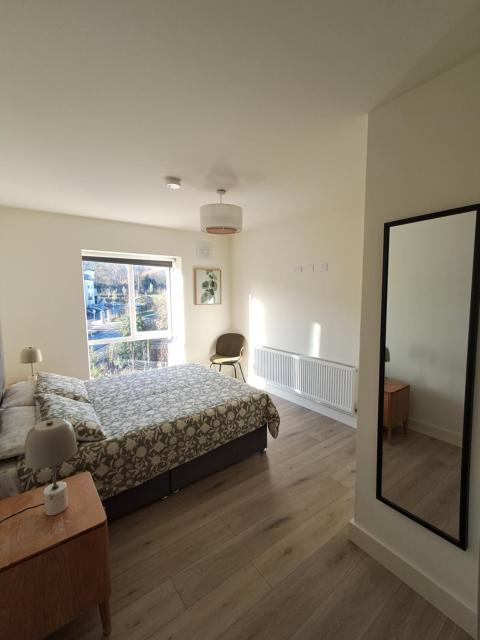Modern Ensuite King Bedroom in Sandyford