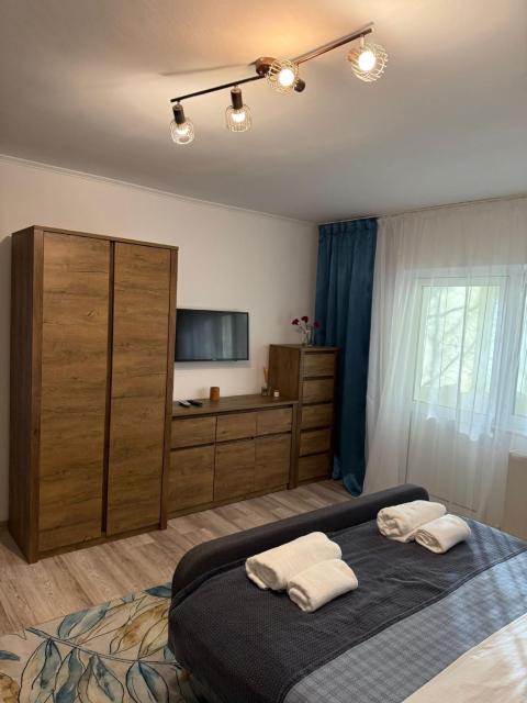Cozy Two-Room Apartment