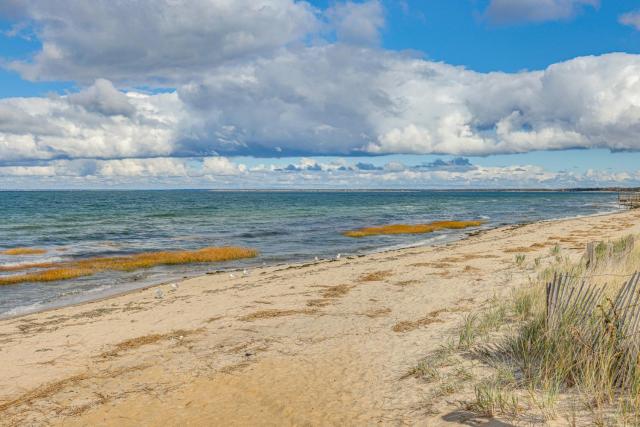 Steps to Beach: Timeless Lower Cape Cottage