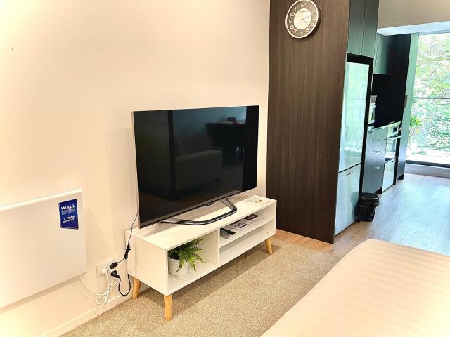 Modern apartment in the city center