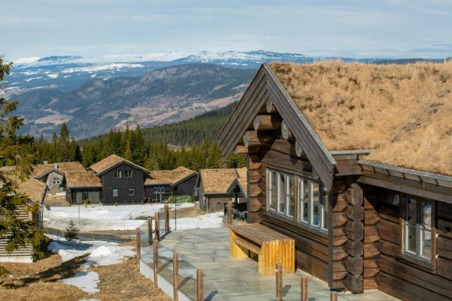 Luxurious Log Cabin At Mostertoppen