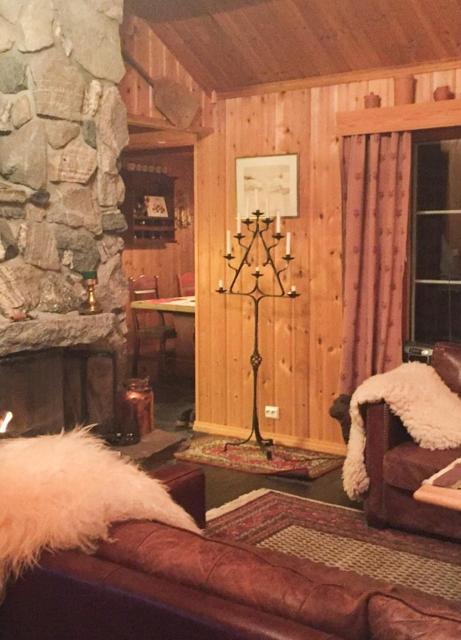 Cabin By Trillemarka Nature Reserve