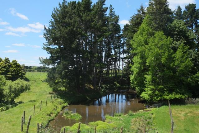 Tamahere White Duck Cabins