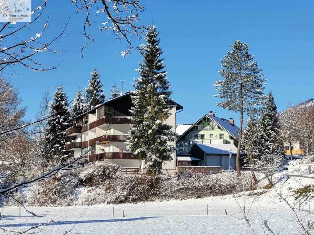 Apartment in Bad Mitterndorf - Steiermark 41122