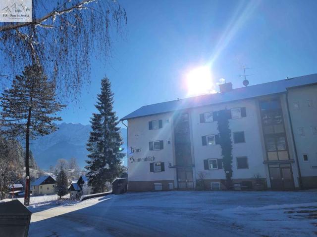 Apartment in Bad Mitterndorf - Steiermark 41122
