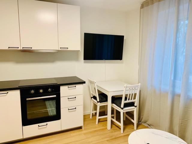 Modernes 1 Zimmer Appartement direkt am Wörthsee